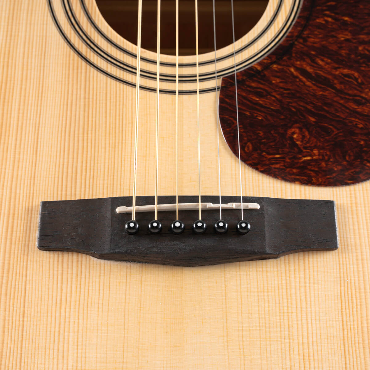 Cort Earth 60 Dreadnought Acoustic Guitar