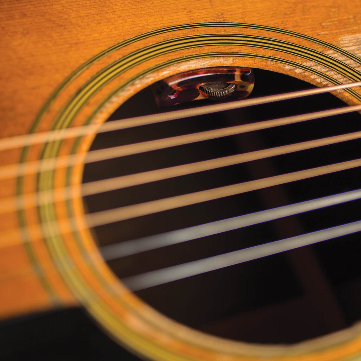 LR Baggs LYRIC Acoustic Guitar Pickup System