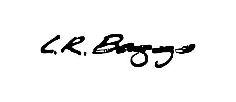 LR Baggs