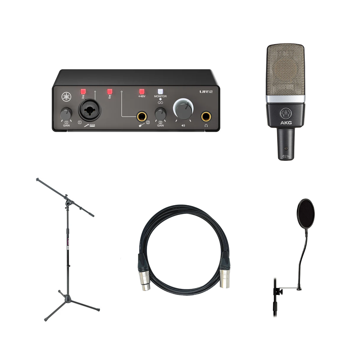 Recording Bundle - C214/UR12 MK3
