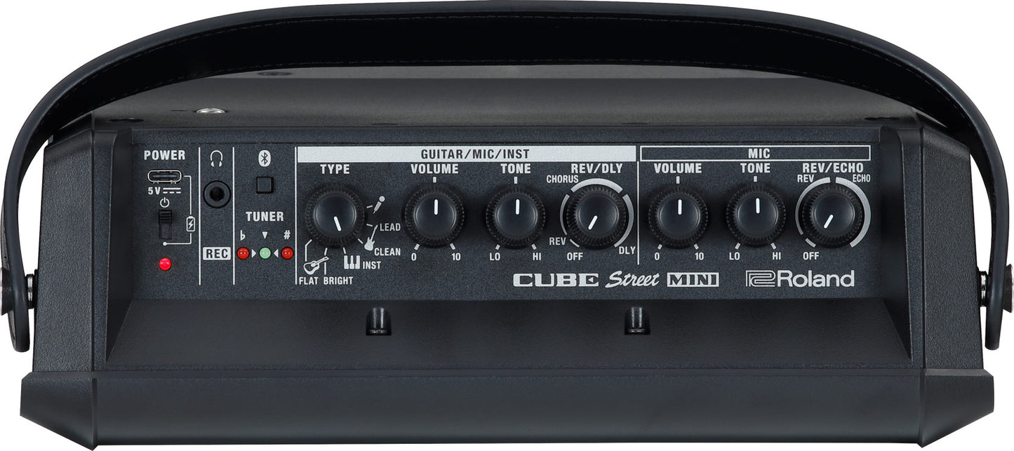 Roland CUBE STREET MINI Guitar Amplifier