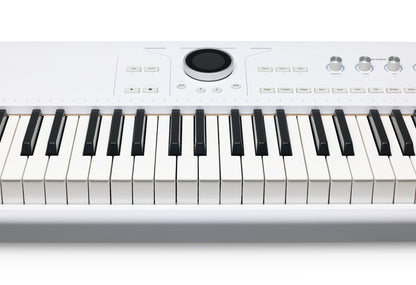 Arturia Astrolab 88 88-Key Stage Keyboard