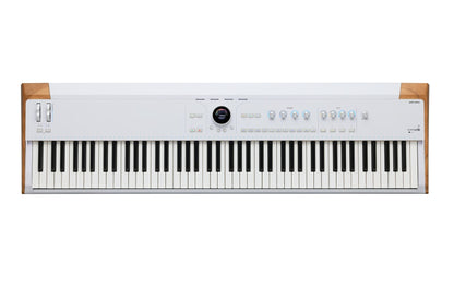 Arturia Astrolab 88 88-Key Stage Keyboard