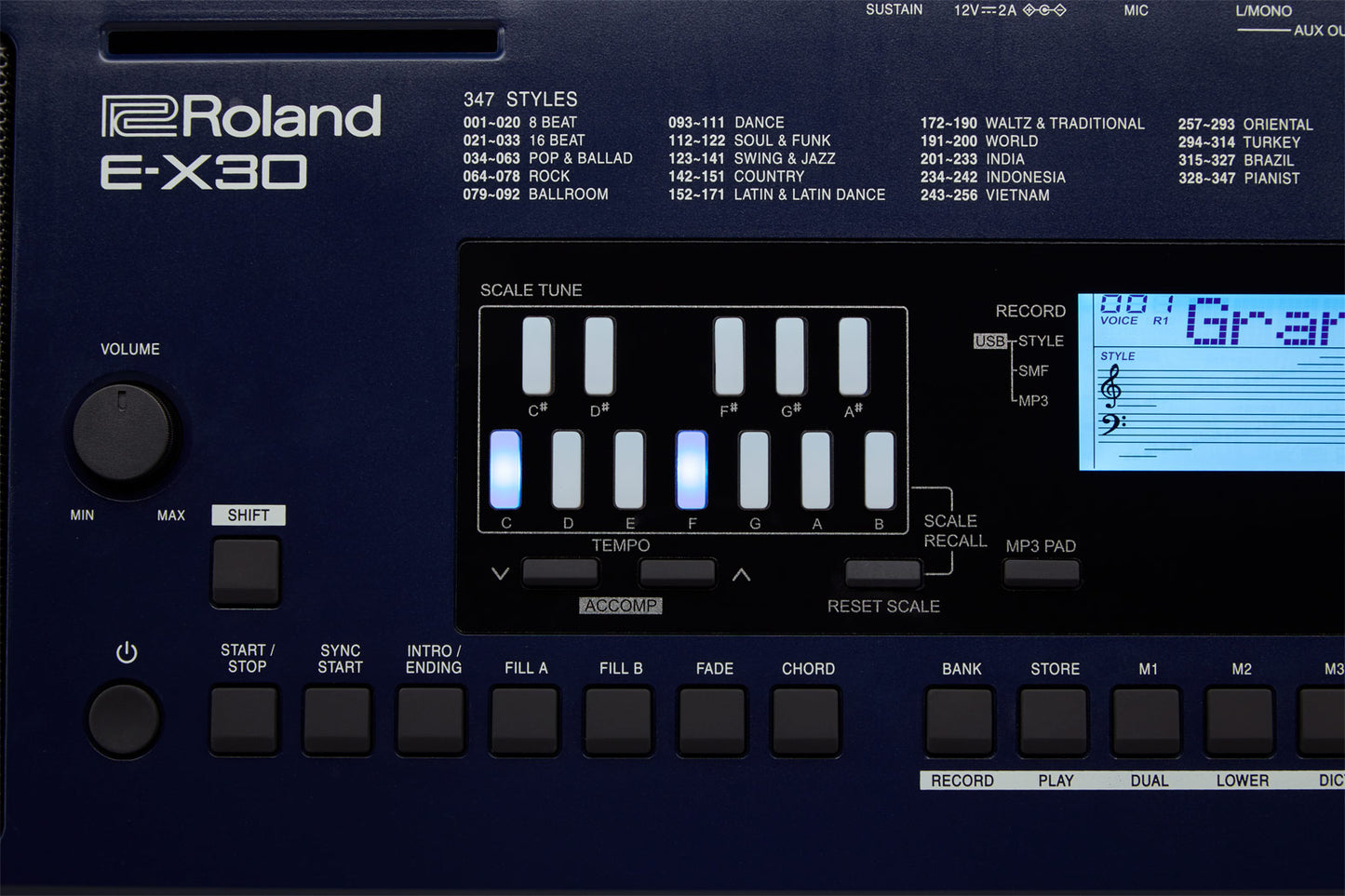 Roland E-X30 Portable Arranger Keyboard