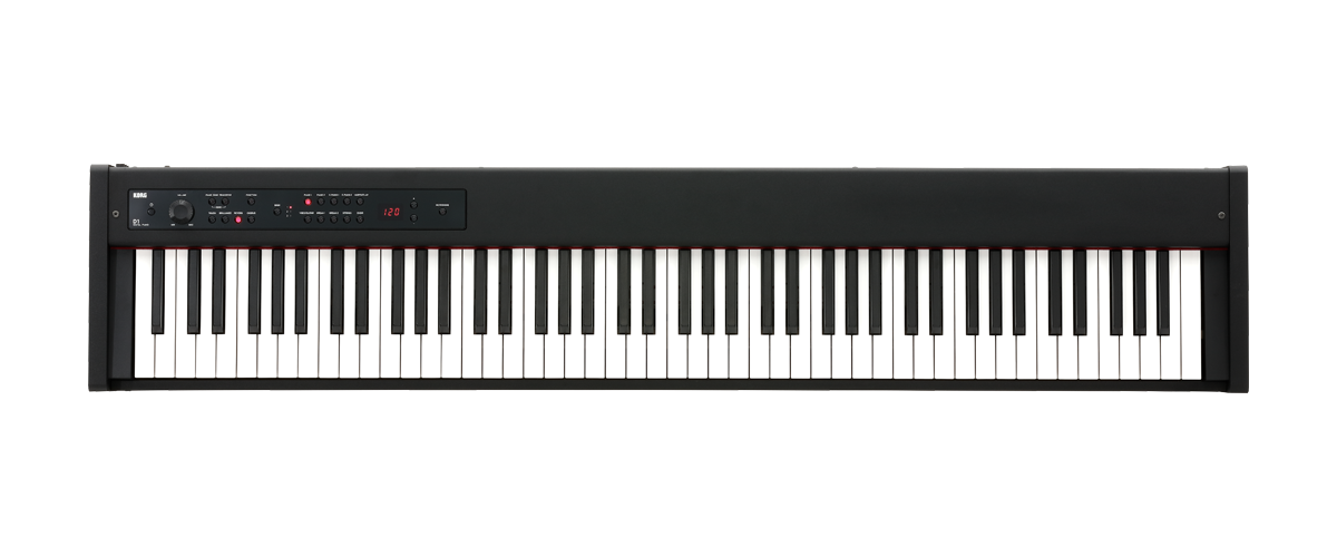 Korg D1 Compact Digital Piano